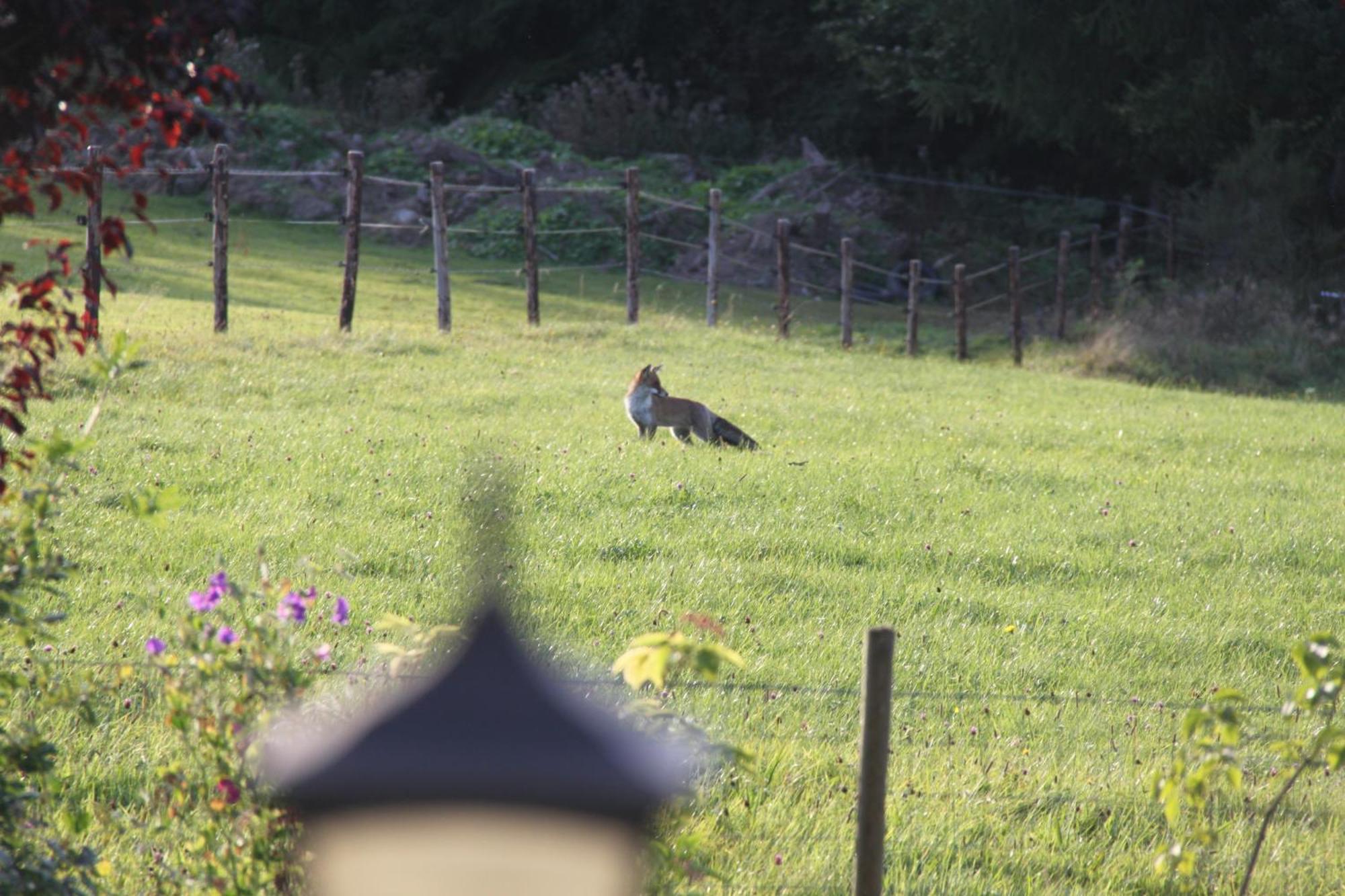B&B Sol Magnus Stavelot Eksteriør billede