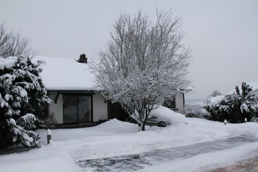 B&B Sol Magnus Stavelot Eksteriør billede